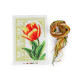 Embroidery / cross stitch kit - As pictured (1 Set)