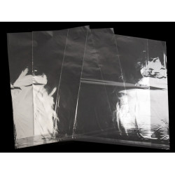 Torby foliowe z paskiem klejącym 50x60 cm - Transparent (100 Sztuki)