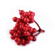 Baies de sorbier artificielles - Rouge fraise (90 Bottes) Baies de sorbier artificielles - Rouge fraise (90 Bottes)