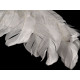 Anielskie skrzydła 35x45cm - White (1 Sztuka) Anielskie skrzydła 35x45cm - White (1 Sztuka)