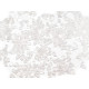 Zatyczki do kolczyków 3x4 mm - Transparent (30 Gramy) Zatyczki do kolczyków 3x4 mm - Transparent (30 Gramy)