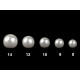 Guzik perełka ø12 mm - Perłowy (10 Sztuki) Guzik perełka ø12 mm - Perłowy (10 Sztuki)