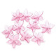 Kunststoffperlen blüte/rock ø 25–29 mm - Transparent (800 Stücke) Kunststoffperlen blüte/rock ø 25–29 mm - Transparent (800 Stücke)