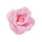 Brosche / verzierung rose  ø6 cm - Hellrosa (1 Stück)