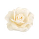 Broszka / spinka ø6 cm róża - White (12 Sztuki) Broszka / spinka ø6 cm róża - White (12 Sztuki)