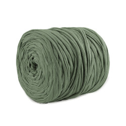 Włóczka spaghetti spagitolli  550-700 g - Zielony (1 Sztuka)