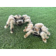 Hilo para tejer husky 100 g - Mostaza (1 Pieza) Hilo para tejer husky 100 g - Mostaza (1 Pieza)