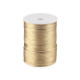 Polyester rattail satin cord ø2mm - Menthol (570 Meters) Polyester rattail satin cord ø2mm - Menthol (570 Meters)