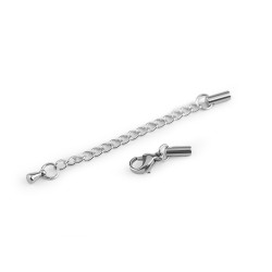 Stainless steel lobster clasp / carabiner with an extension chain - Platinum (1 Set)