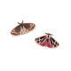 Broszka / pins motyl / ćma - Pudrowy (3 Sztuki)