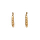 Pendientes de acero inoxidable - Oro (1 Par) Pendientes de acero inoxidable - Oro (1 Par)