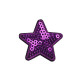 Patch thermocollant étoile avec sequins - Argent (50 Pièces) Patch thermocollant étoile avec sequins - Argent (50 Pièces)