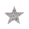 Applique termoadesiva, con strass - Argento (1 Pezzo)