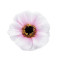 Boccioli di fiori artificiali, dimensioni: ø 5 cm - Rosa chiaro (175 Pezzi)