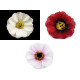 Boccioli di fiori artificiali, dimensioni: ø 5 cm - Rosso (5 Pezzi) Boccioli di fiori artificiali, dimensioni: ø 5 cm - Rosso (5 Pezzi)