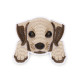 Embroidered iron-on patch dog - Brown (10 Pieces)