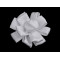 Bouton de fleur satiné à coudre ou à coller, ø 6,5 cm - Blanc (1 Pièce)