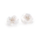 Kwiatek cekinowy z koralikami ø3,8 cm - Transparent (10 Sztuki) Kwiatek cekinowy z koralikami ø3,8 cm - Transparent (10 Sztuki)