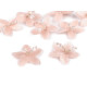 Fleur avec perles à coudre ou à coller, ø 4 cm - Poudre (10 Pièces) Fleur avec perles à coudre ou à coller, ø 4 cm - Poudre (10 Pièces)