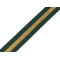 Beidseitiges polypropylen-gurtband mit lurex, breite 25 mm - Dunkelgrün (1 Meter)