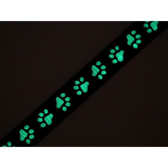 Polypropylene leash/collar strap webbing, glow in the dark, width 15 mm - Pink (1 Meter) Polypropylene leash/collar strap webbing, glow in the dark, width 15 mm - Pink (1 Meter)