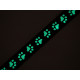 Polypropylene leash/collar strap webbing, glow in the dark, width 15 mm - Pink (1 Meter) Polypropylene leash/collar strap webbing, glow in the dark, width 15 mm - Pink (1 Meter)
