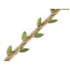 Jute leaf twine width 25 mm - Natural burlap (100 Meters) Jute leaf twine width 25 mm - Natural burlap (100 Meters)