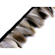 Trimming braid - duck feathers, 6-8 cm - Natural (1 Meter) Trimming braid - duck feathers, 6-8 cm - Natural (1 Meter)