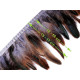 Prýmek - kohoutí peří 14-16 cm - Šedá paloma (1 Metr) Prýmek - kohoutí peří 14-16 cm - Šedá paloma (1 Metr)