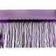 Banda / galon organza cu franjuri din paiete, latime 20 cm - Vișiniu (9 Metri) Banda / galon organza cu franjuri din paiete, latime 20 cm - Vișiniu (9 Metri)
