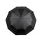 Large / family auto-open folding umbrella - Black (1 Piece)