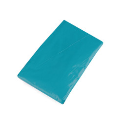 Adult raincoat - Turquoise (1 Piece)