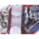Metal snaps ø15 mm for thick fabrics, colored varnish - Paris blue (1 Card) Metal snaps ø15 mm for thick fabrics, colored varnish - Paris blue (1 Card)