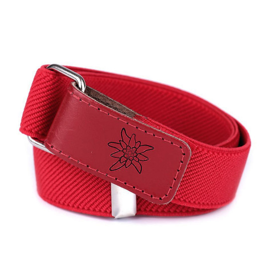 Pasek dziecięcy z rzepem szerokość 2,7 cm - Czerwony (10 Sztuki) Pasek dziecięcy z rzepem szerokość 2,7 cm - Czerwony (10 Sztuki)