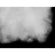 Hollow fiber pillow / pillow pes insert 40x40 cm 350 g - White (2 Pieces) Hollow fiber pillow / pillow pes insert 40x40 cm 350 g - White (2 Pieces)