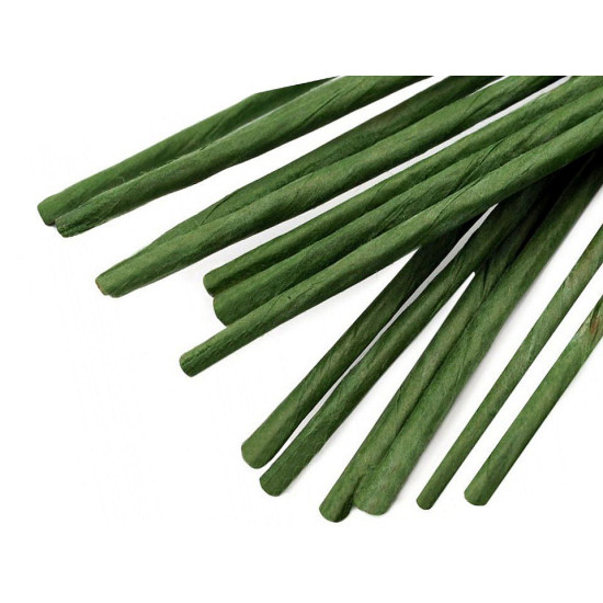 Drut florystyczny ø2,5 mm, długość 40 cm - Zielona paproć (800 Sztuki) Drut florystyczny ø2,5 mm, długość 40 cm - Zielona paproć (800 Sztuki)