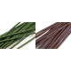 Drut florystyczny ø2,5 mm, długość 40 cm - Zielona paproć (800 Sztuki) Drut florystyczny ø2,5 mm, długość 40 cm - Zielona paproć (800 Sztuki)