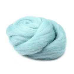 Wool fleece roving 20 g combed - Turquoise (1 Bag)