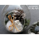 Hanging glass globes for plants ø10 cm - Transparent (3 Pieces) Hanging glass globes for plants ø10 cm - Transparent (3 Pieces)