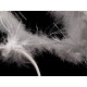 Opaska - aniołek - White (4 Sztuki) Opaska - aniołek - White (4 Sztuki)