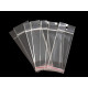 Torby foliowe zamykane z paskiem klejącym i zawieszką 5x10 cm - Transparent (2000 Sztuki) Torby foliowe zamykane z paskiem klejącym i zawieszką 5x10 cm - Transparent (2000 Sztuki)