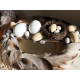 Wooden diy head / easter egg 25x40 mm - Ivory (1 Piece)
