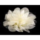 Chiffon flower ø8 and 9 cm - Red (4 Pieces) Chiffon flower ø8 and 9 cm - Red (4 Pieces)