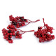 Baies de sorbier - Rouge carmin (2 Bottes) Baies de sorbier - Rouge carmin (2 Bottes)