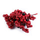 Baies de sorbier - Rouge carmin (2 Bottes) Baies de sorbier - Rouge carmin (2 Bottes)