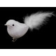 Bird with clip for christmas arrangement - White (2 Pieces) Bird with clip for christmas arrangement - White (2 Pieces)