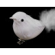 Bird with clip for christmas arrangement - White (2 Pieces) Bird with clip for christmas arrangement - White (2 Pieces)