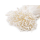 Artificial flower pistils / stamens - Cream lightest (30 Bunches) Artificial flower pistils / stamens - Cream lightest (30 Bunches)