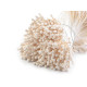 Artificial flower pistils / stamens - Cream lightest (30 Bunches) Artificial flower pistils / stamens - Cream lightest (30 Bunches)