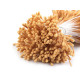 Artificial flower pistils / stamens - Cream lightest (30 Bunches) Artificial flower pistils / stamens - Cream lightest (30 Bunches)